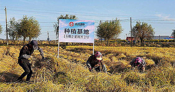 插圖-生(shēng)産基地.jpg